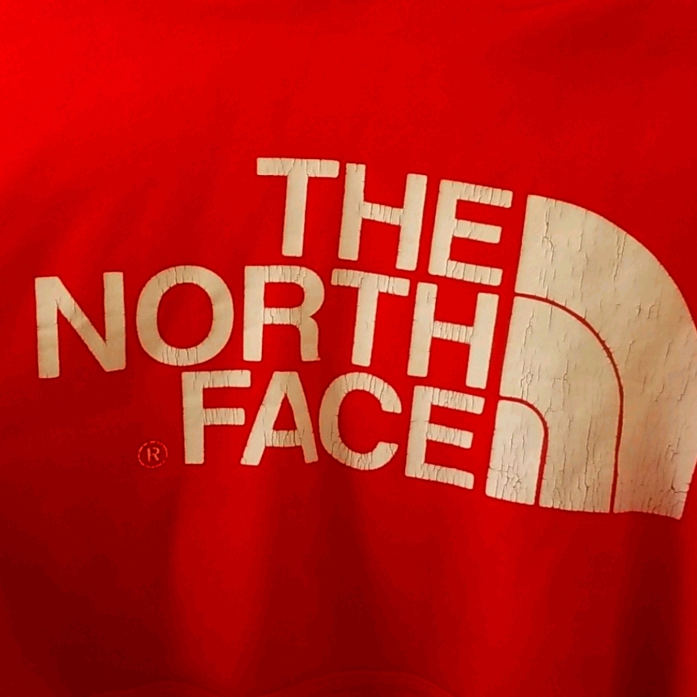 Sz L The North Face Pullover Hoodie - Picture 3 of 4